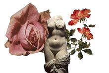 Venus Rose Deodorant ~