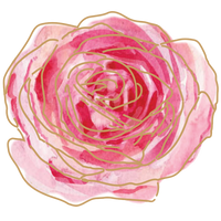 shivarose